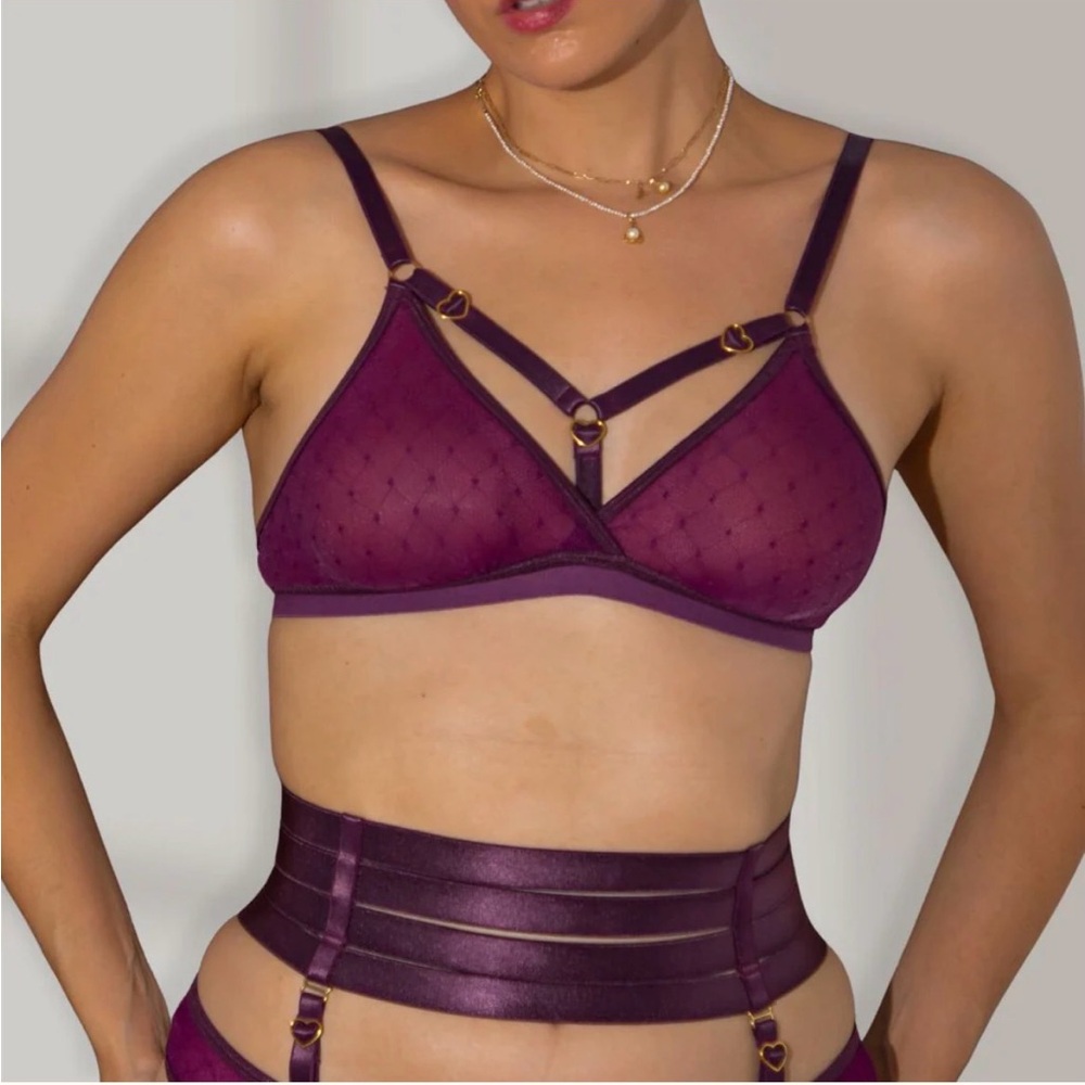 NWT Uye Surana Elegant Purple Plum Romantic Strappy Sheer Bra Heart Detail M/L